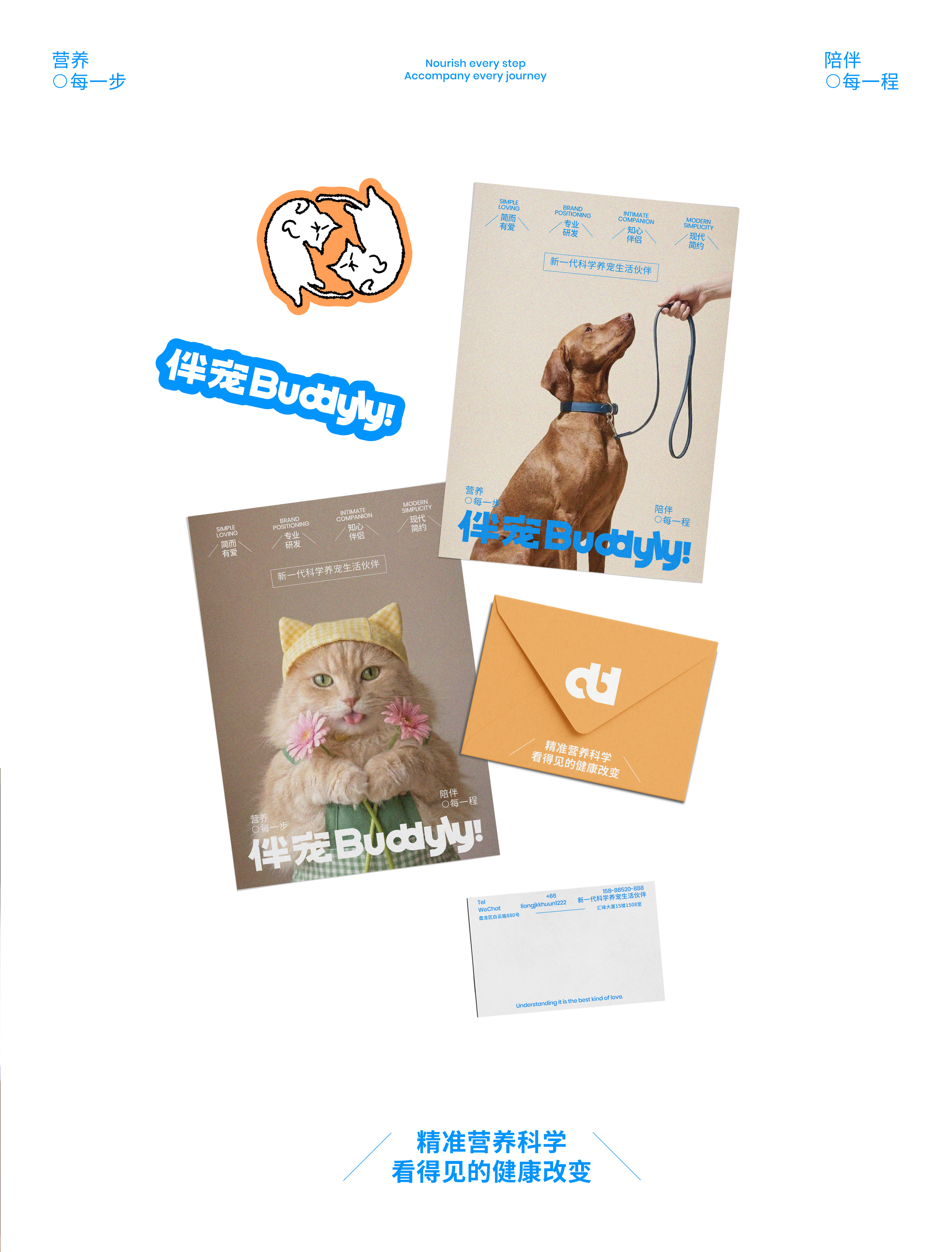 伴宠品牌全案项目页面 27